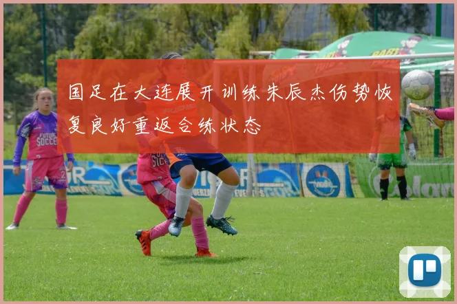 国足在大连展开训练朱辰杰伤势恢复良好重返合练状态